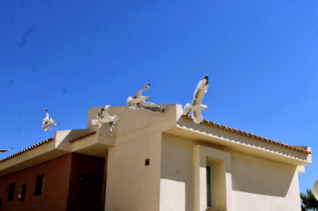 porto-cristo-mallorca-bunte-tunika