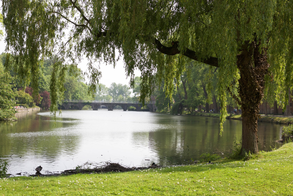 brügge-sehenswürdigkeiten-tipps-reisen-travelguide-travelblog-berlin-köln brügge-sehenswürdigkeiten-tipps-reisen-travelguide-travelblog-berlin-köln_0927