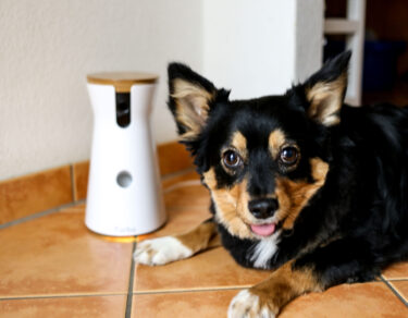 hundekamera furbo