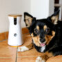 hundekamera furbo