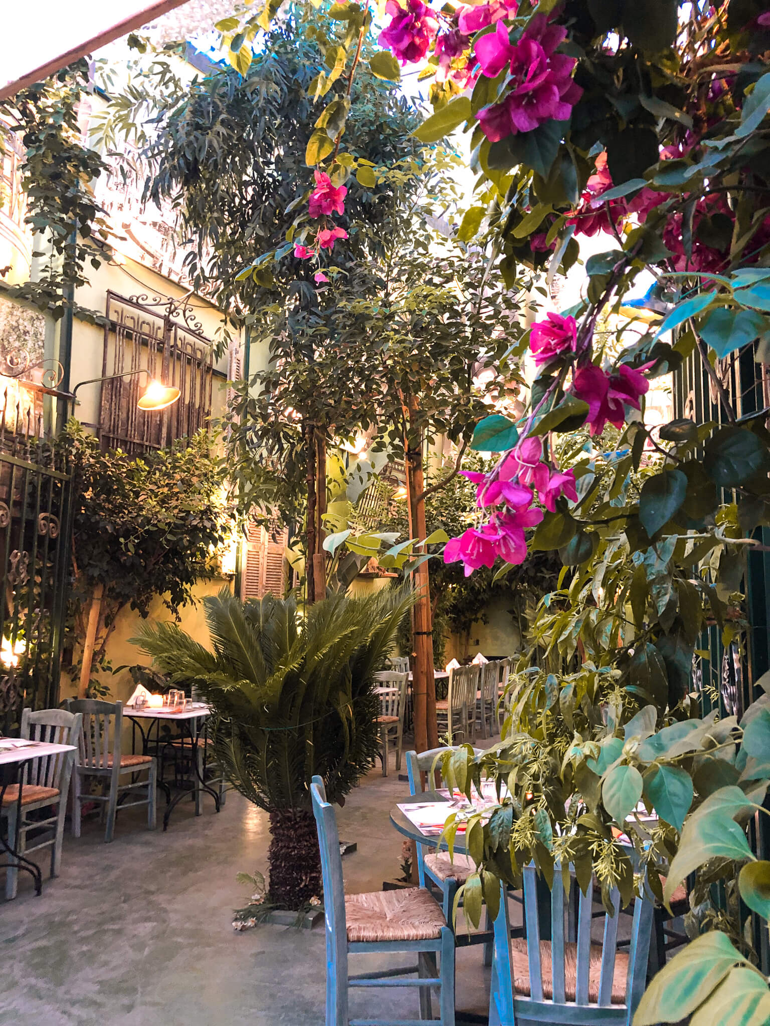 athen gassen blumen