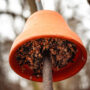 Vogelfutter Tontopf