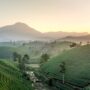 Sapa Vietnam Reisfelder