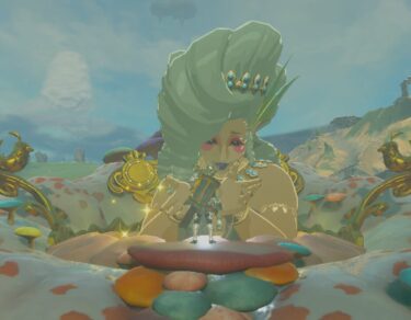 Zelda Tears of The Kingdom Feen